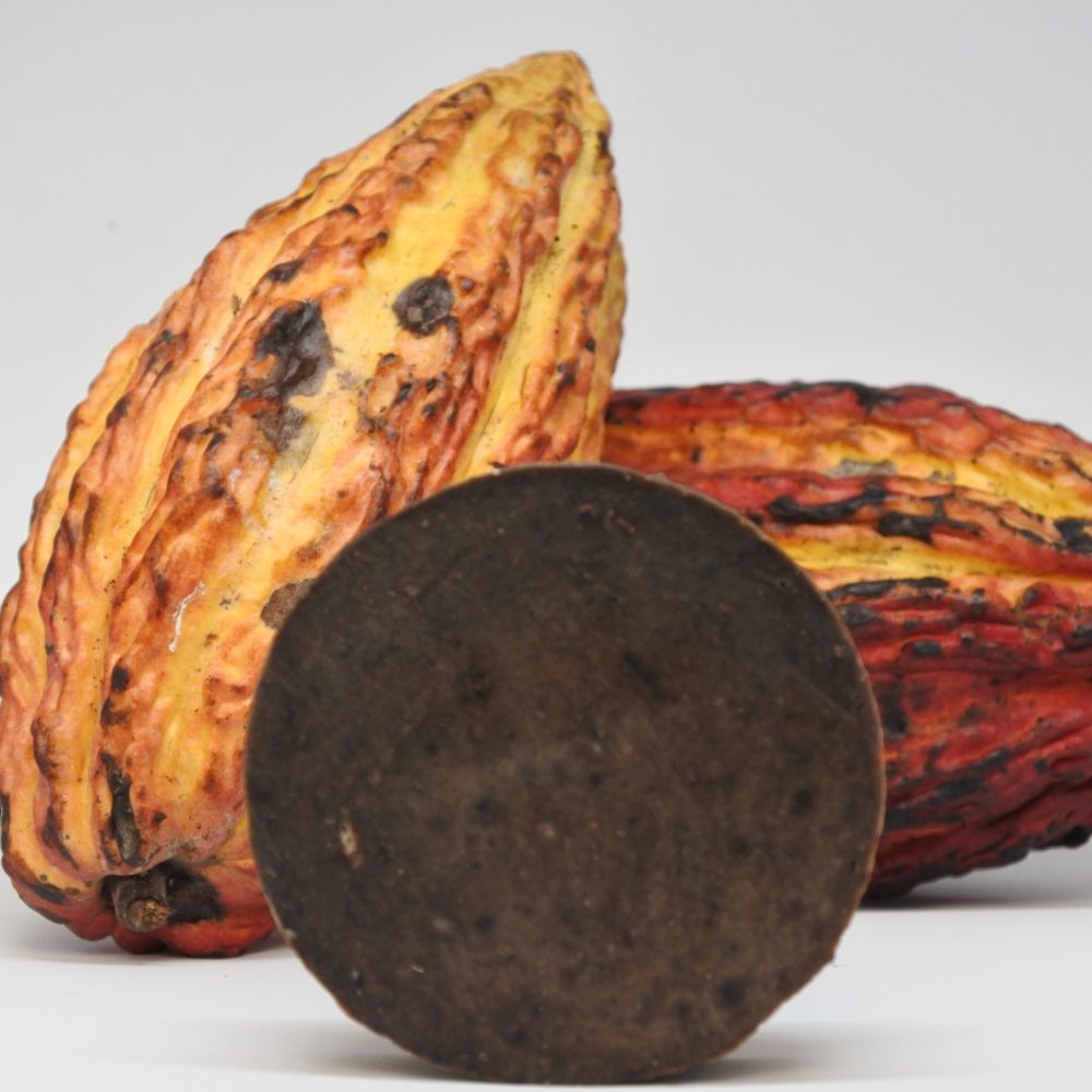 Jabón Artesanal de Cacao